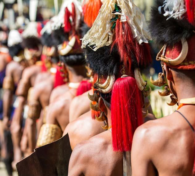The Indian Tribal