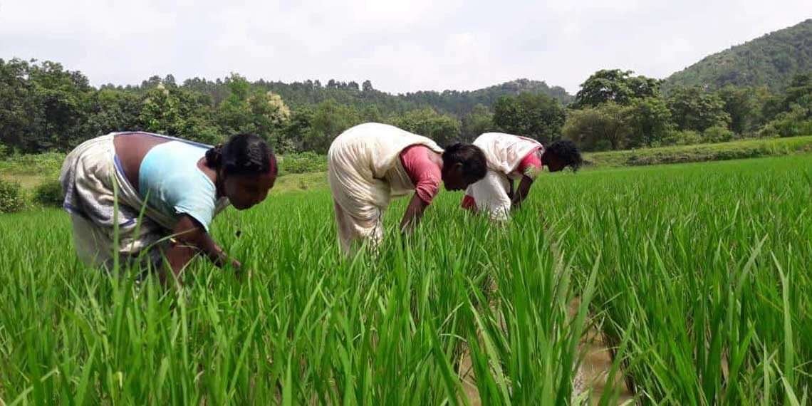 होरो महिलाओं में जला रहीं आत्मनिर्भरता की ज्वाला