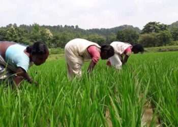 होरो महिलाओं में जला रहीं आत्मनिर्भरता की ज्वाला