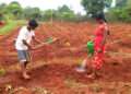 The Indian Tribal | Tribal Farming - Agriculture Eco-farming