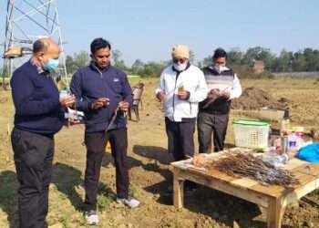 झारखण्ड में भी लहलहाएगा कश्मीर और हिमाचल जैसा सेब बागान