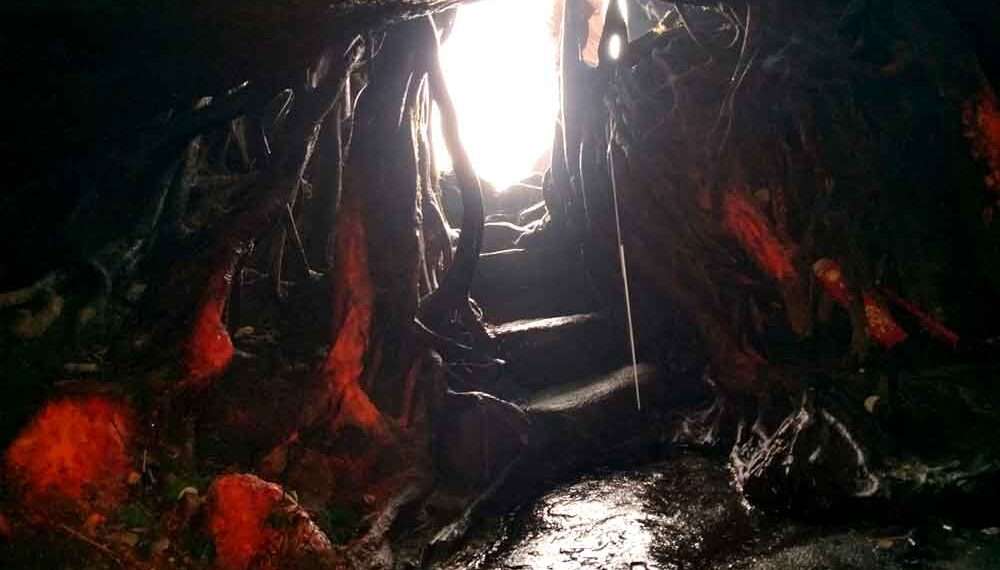 लुगु बाबा की गुफा का रास्ता