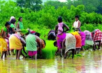 Dongria Tribals Of Odisha