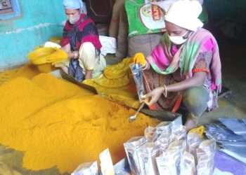 The Indian Tribal News | A group of 30 Dongria Kondh tribals have quadrupled their income since their SHGs merged to form the Mahashakti Nari Jagaran Jeevan Jivika Sangh