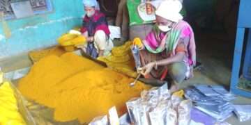 The Indian Tribal News | A group of 30 Dongria Kondh tribals have quadrupled their income since their SHGs merged to form the Mahashakti Nari Jagaran Jeevan Jivika Sangh