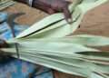 Woman Making Strips Of The Palm Leaf