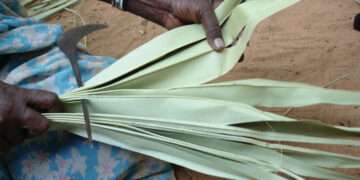 Woman Making Strips Of The Palm Leaf
