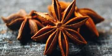 Tribal Health | Tribal Medicine | North East Practitioners Strive To Keep Tribal Medicine System Alive