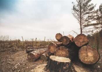 The Indian Tribal News , New Forest Conservation Rules