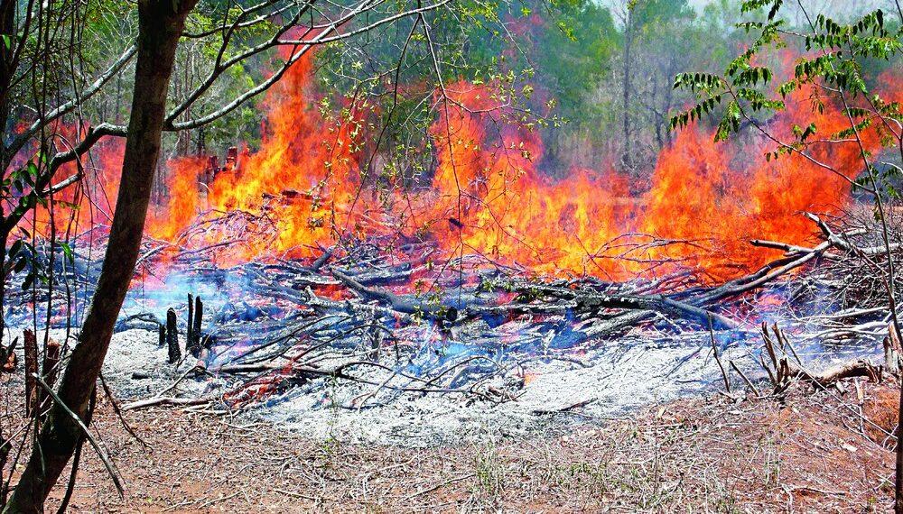 KCR’s Bold ‘Podu’ Land Move Queers Pitch For Opponents