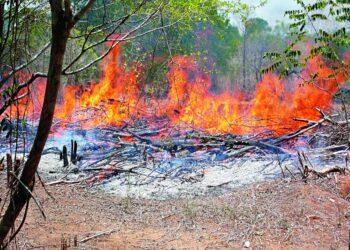 KCR’s Bold ‘Podu’ Land Move Queers Pitch For Opponents