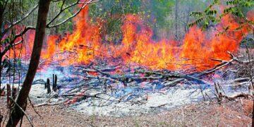 KCR’s Bold ‘Podu’ Land Move Queers Pitch For Opponents