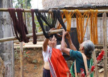 Natural Dyeing Assam