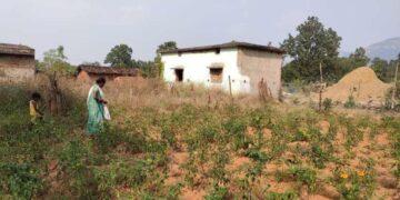 A Home Garden In Odisha