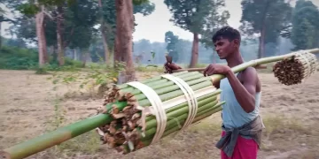 Gudiyapadar Villager With His Day's Toil I The Indian Tribal