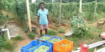 द इंडियन ट्राइबल | आईटीडीए परियोजना का बड़ा लाभ: कृषि उपज में वृद्धि