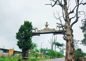 ऊंची उड़ान भरने को बेताब ‘उड़ान’