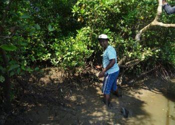 Dr Tudu Undertaking Sampling Work At Coringa Wildlife Sanctuary, Kakinada, Andhra Pradesh