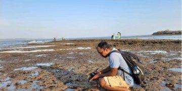 Scientist Dr Prasad Chandra Tudu At Work In Union Territory Diu