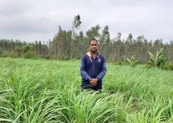 Tribal Agri Entrepreneur