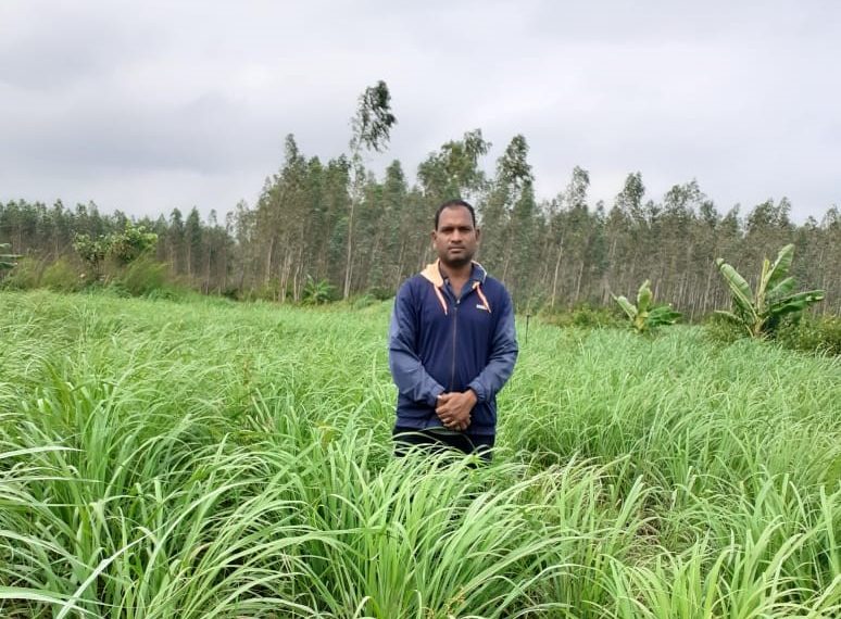 Tribal Agri Entrepreneur