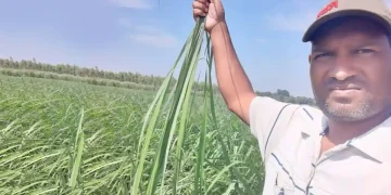 टेकचंद लेमनग्रास पकड़े हुए | The Indian Tribal