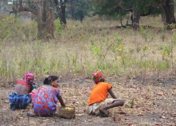 Mahua flowers, The Indian Tribal