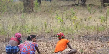 Mahua flowers, The Indian Tribal