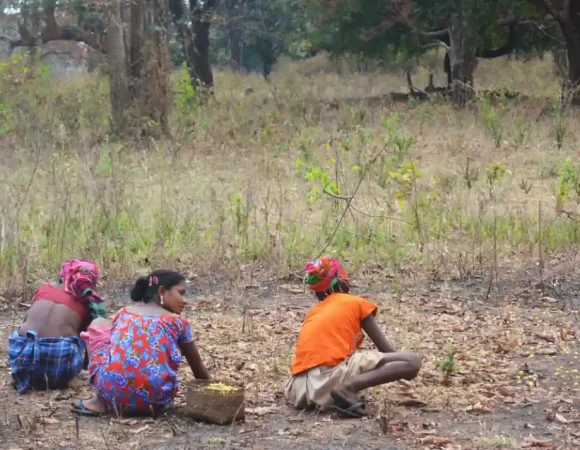 Mahua flowers, The Indian Tribal